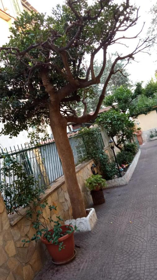 Casa Diana Rom